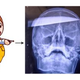 Illustration for article titled Kotaku Shop Contest: X-Ray Edition Winners